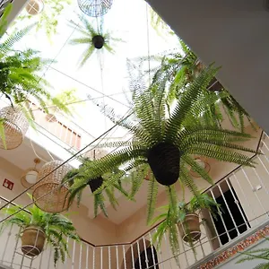 Cordoba Pensjonat